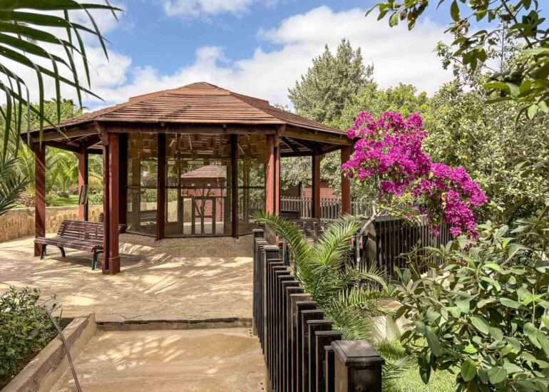 Lintupuisto Laayoune