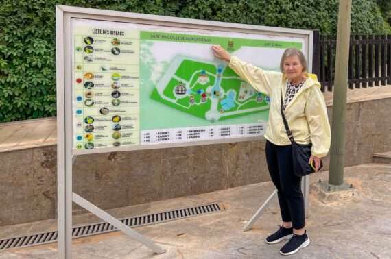 Lintupuistohaaste Laayoune