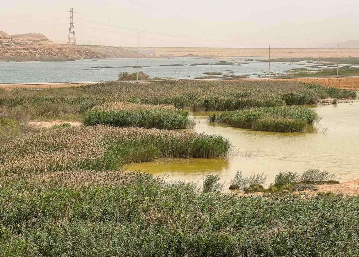 Laayoune Länsi-Sahara