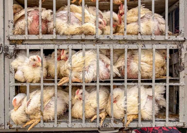 Laayoune Länsi-Sahara