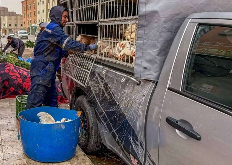 Laayoune Länsi-Sahara