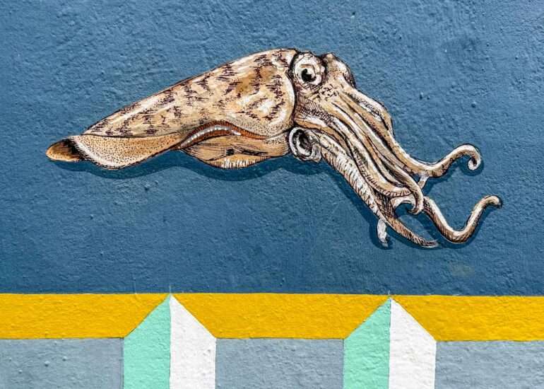 Puerto de la Cruz taide