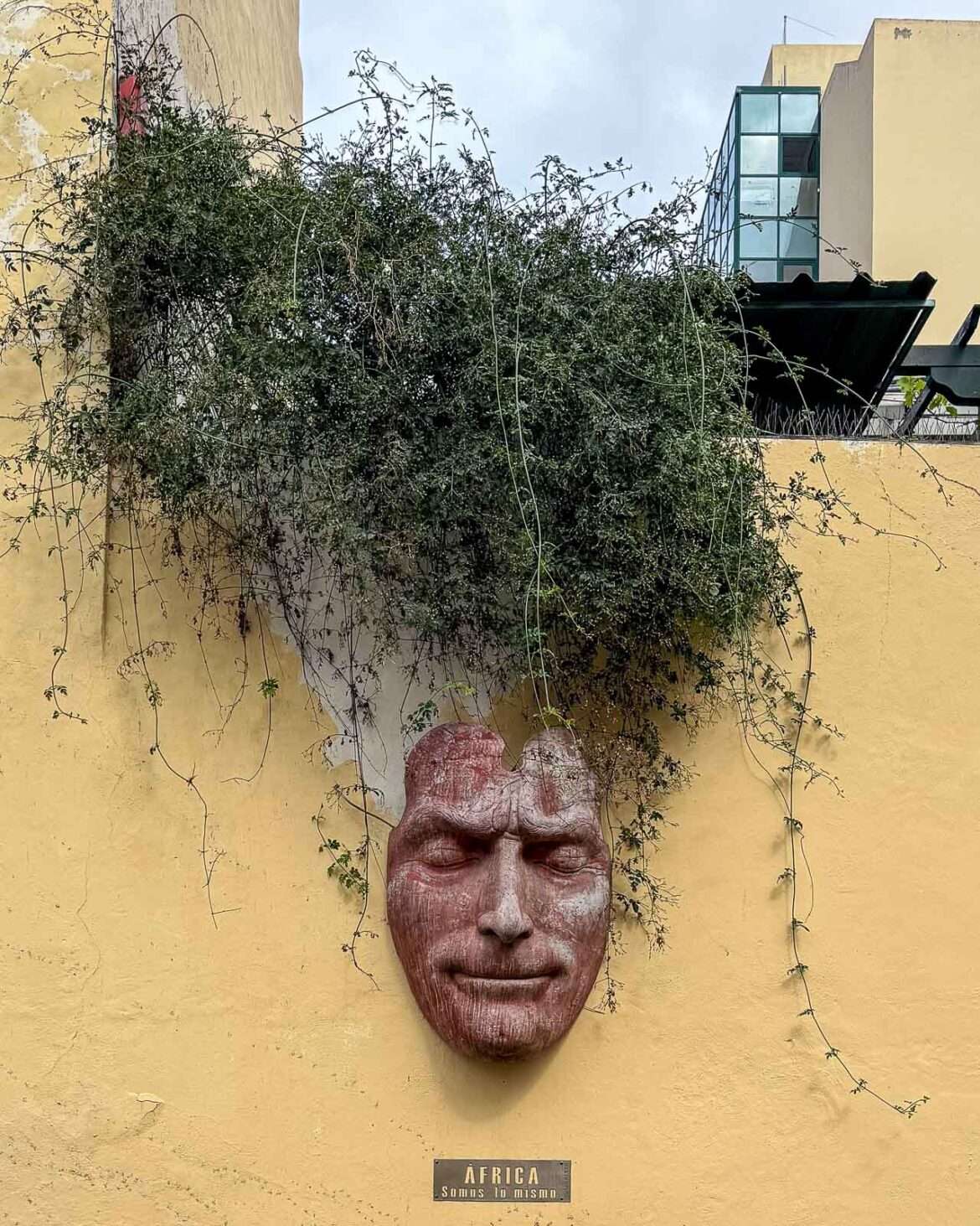 Puerto de la Cruz taide