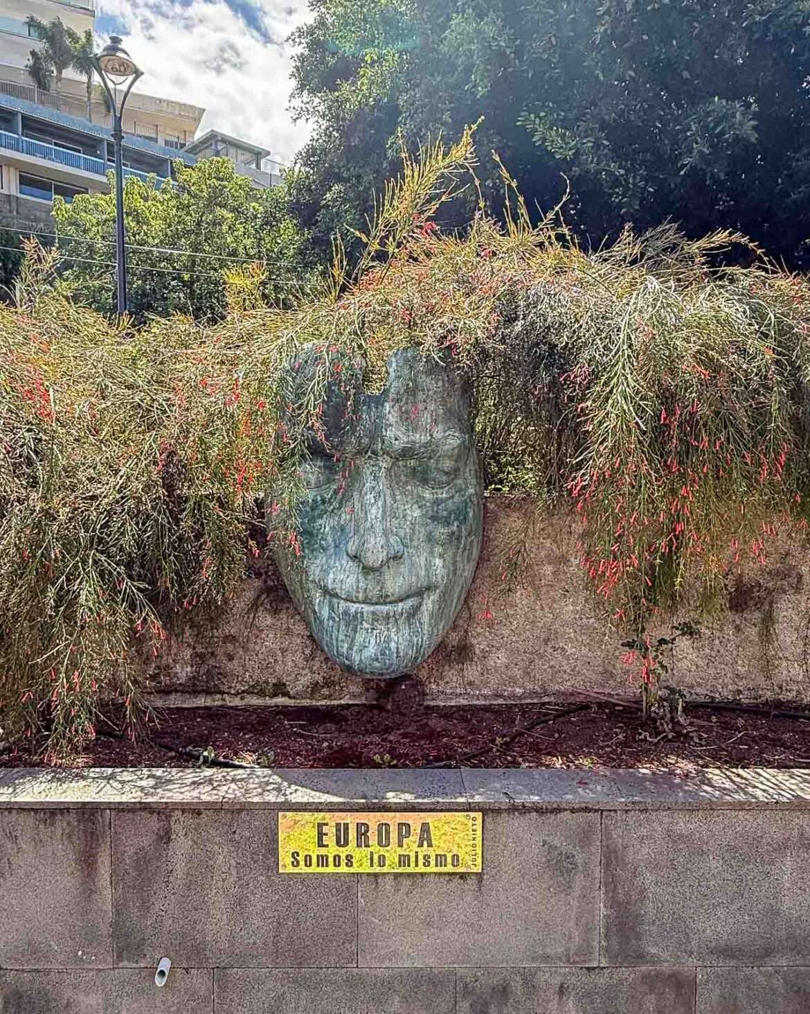 Puerto de la Cruz taide