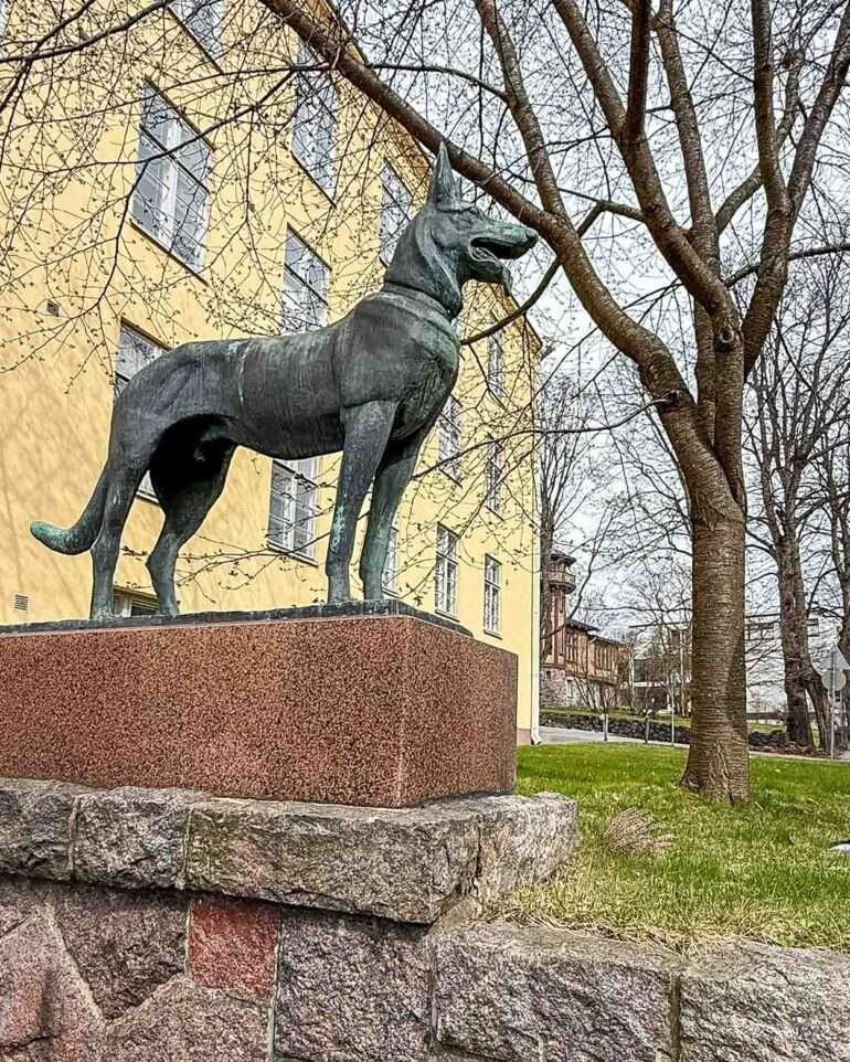 Salus-sairaala Pekka-koira