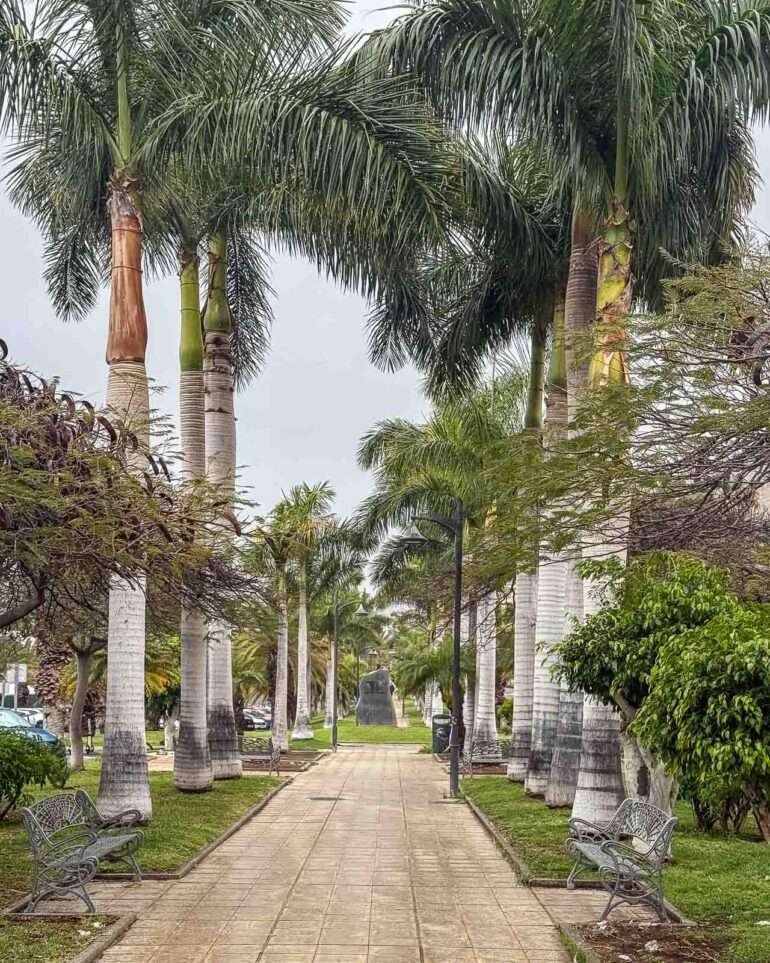 Muutama patsaskin Los Cristianos