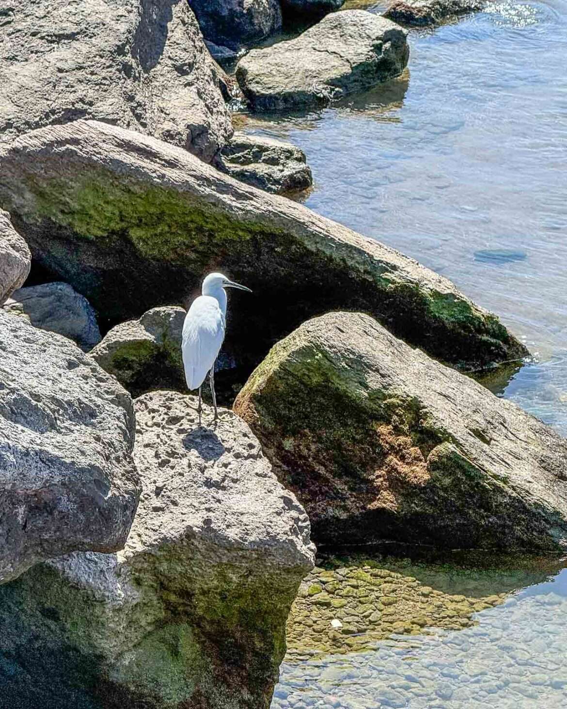 Puerto de Mogan kanavat