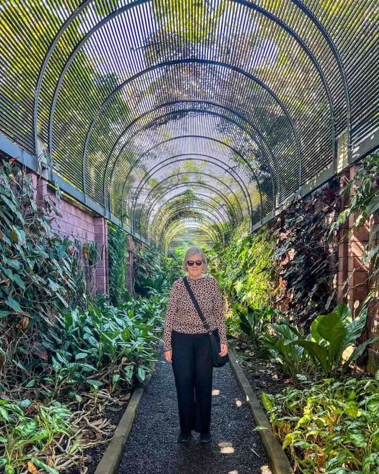 Puerto de la Cruz kasvitieteellinen puutarha