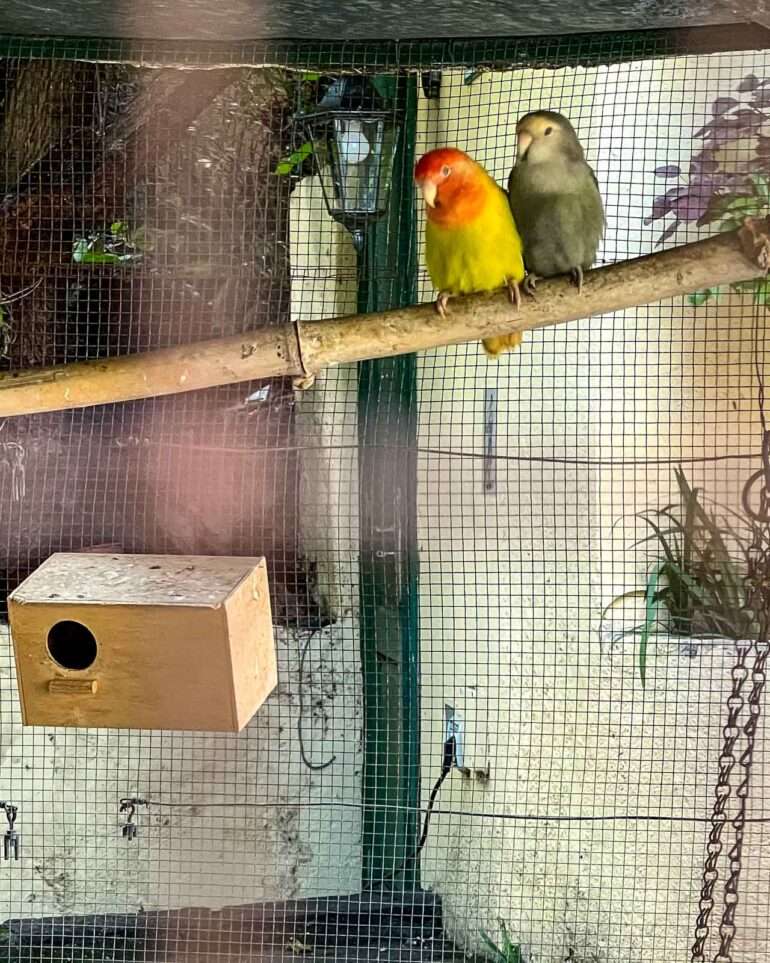 Sitio Litre Puerto de la Cruz