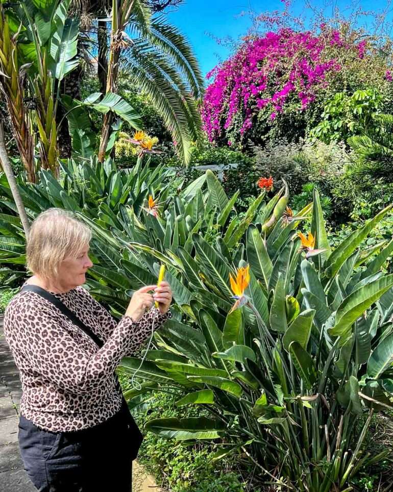 Sitio Litre Puerto de la Cruz