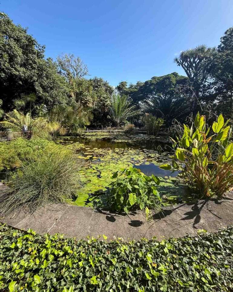 Puerto de la Cruz kasvitieteellinen puutarha