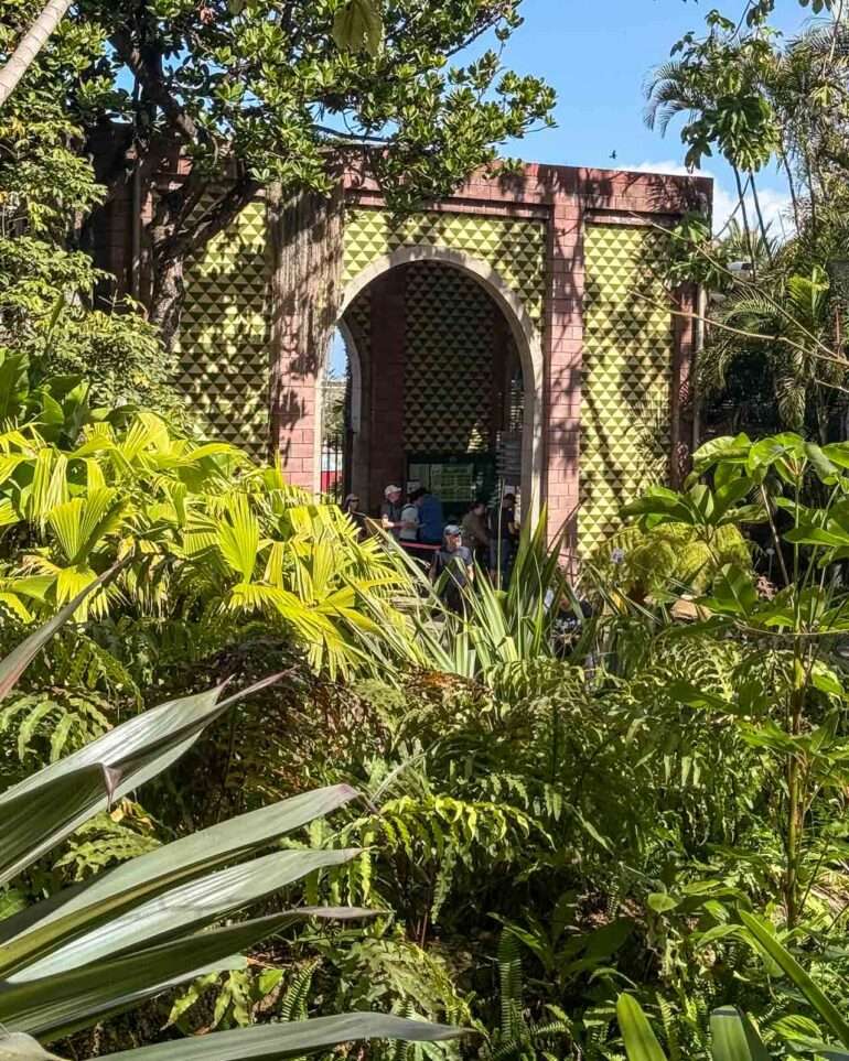 Puerto de la Cruz kasvitieteellinen puutarha