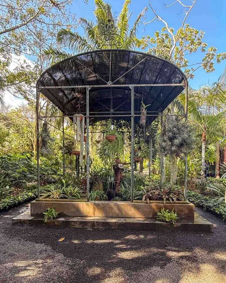 Puerto de la Cruz kasvitieteellinen puutarha