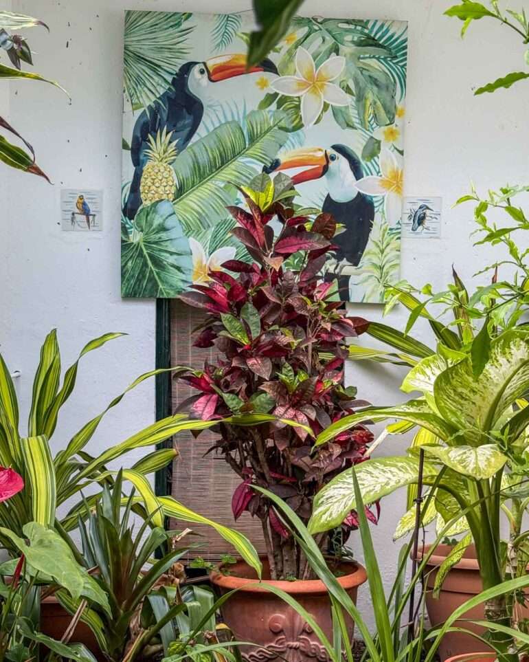 Sitio Litre Puerto de la Cruz