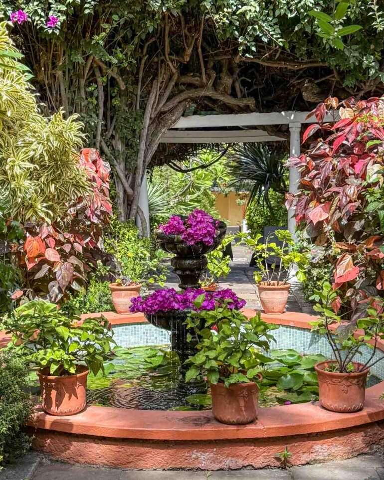 Sitio Litre Puerto de la Cruz