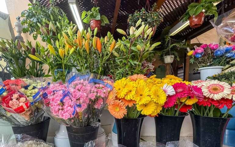 Mercado de Nuestra Senora de Africa