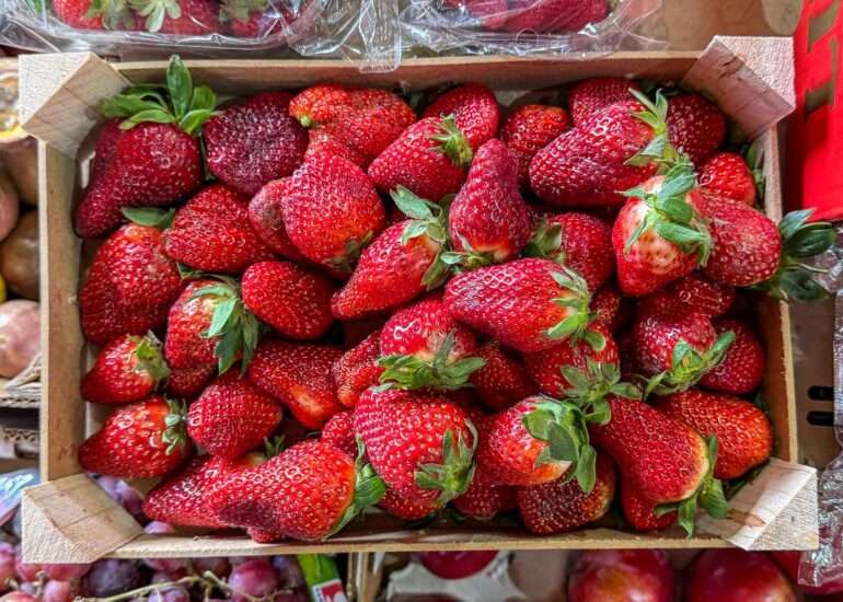 Mercado de Nuestra Senora de Africa