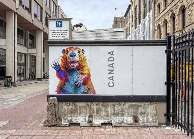 majava kanada