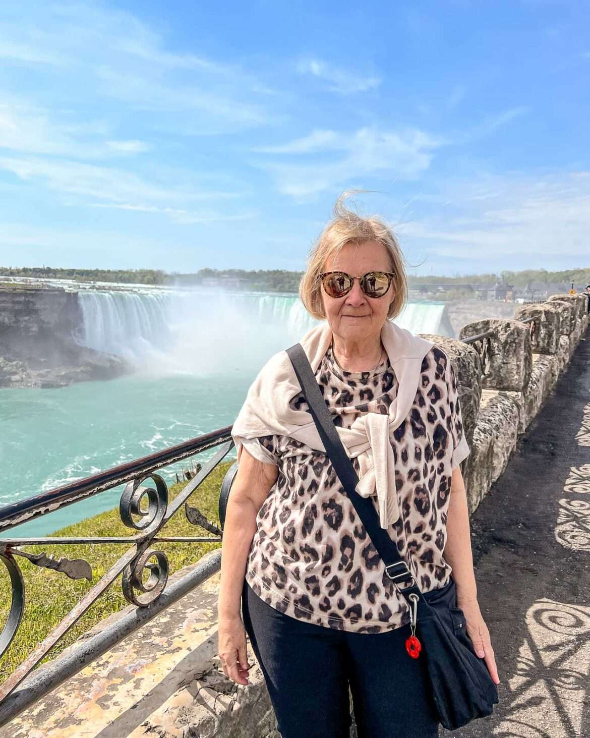 Niagara Hevosenkenkäputous