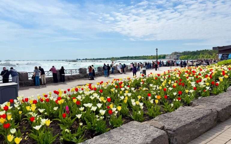 Niagara