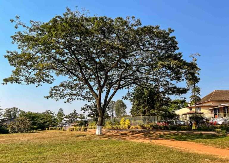 Gitega