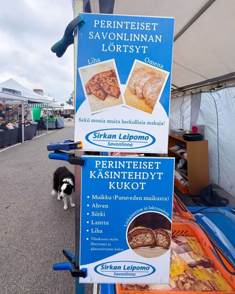 Savonlinna