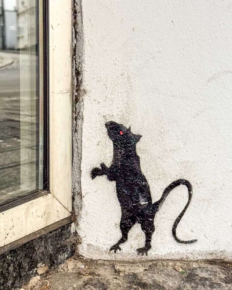 Stavanger