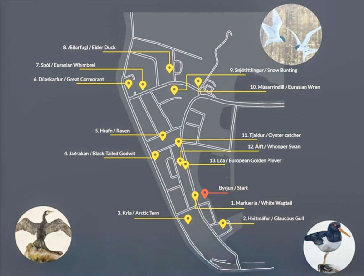 Flatbirds map