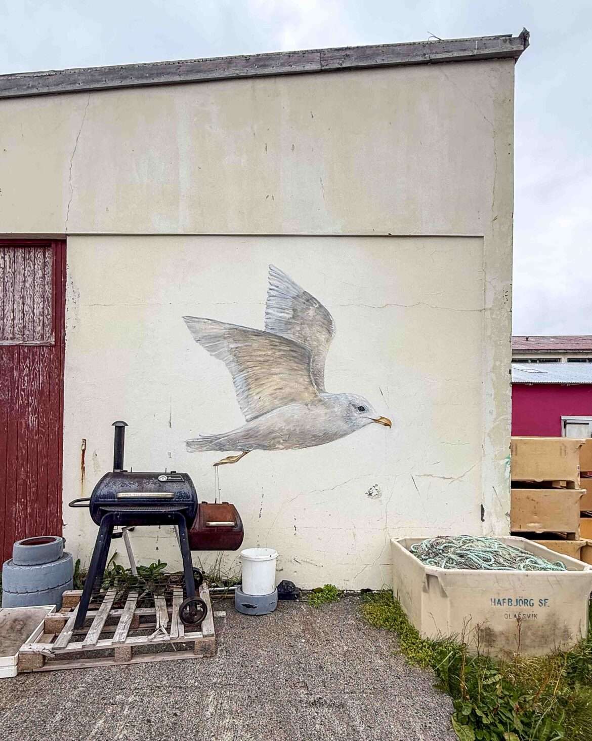 isolokki