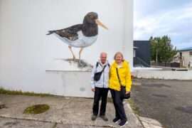 Flatbirds feature