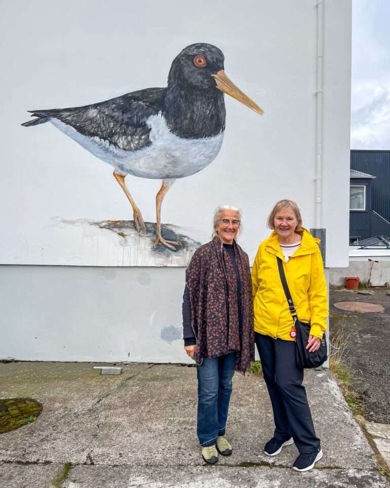 meriharakka flatbirds