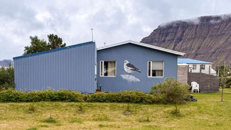 Pulmunen Flatbirds