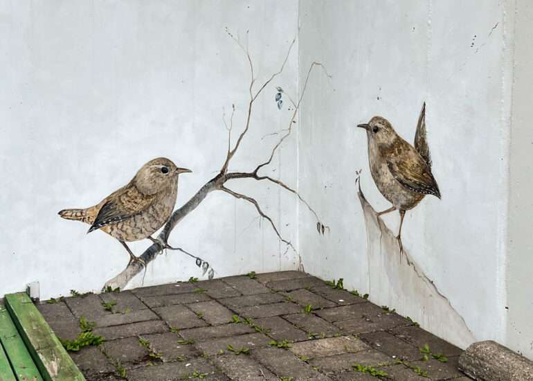 Peukaloinen Flatbirds